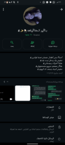 مصر 135