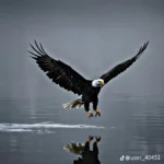 صحيفه الاوتشهيا 1