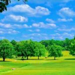 مملكةالحيوانات ناشيونال جوجرافيك ابوظبي 1