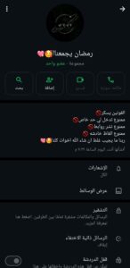 دردشه مصر