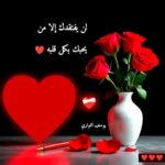 اصحاب من كل مكان 4