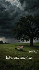 سوهاج 4