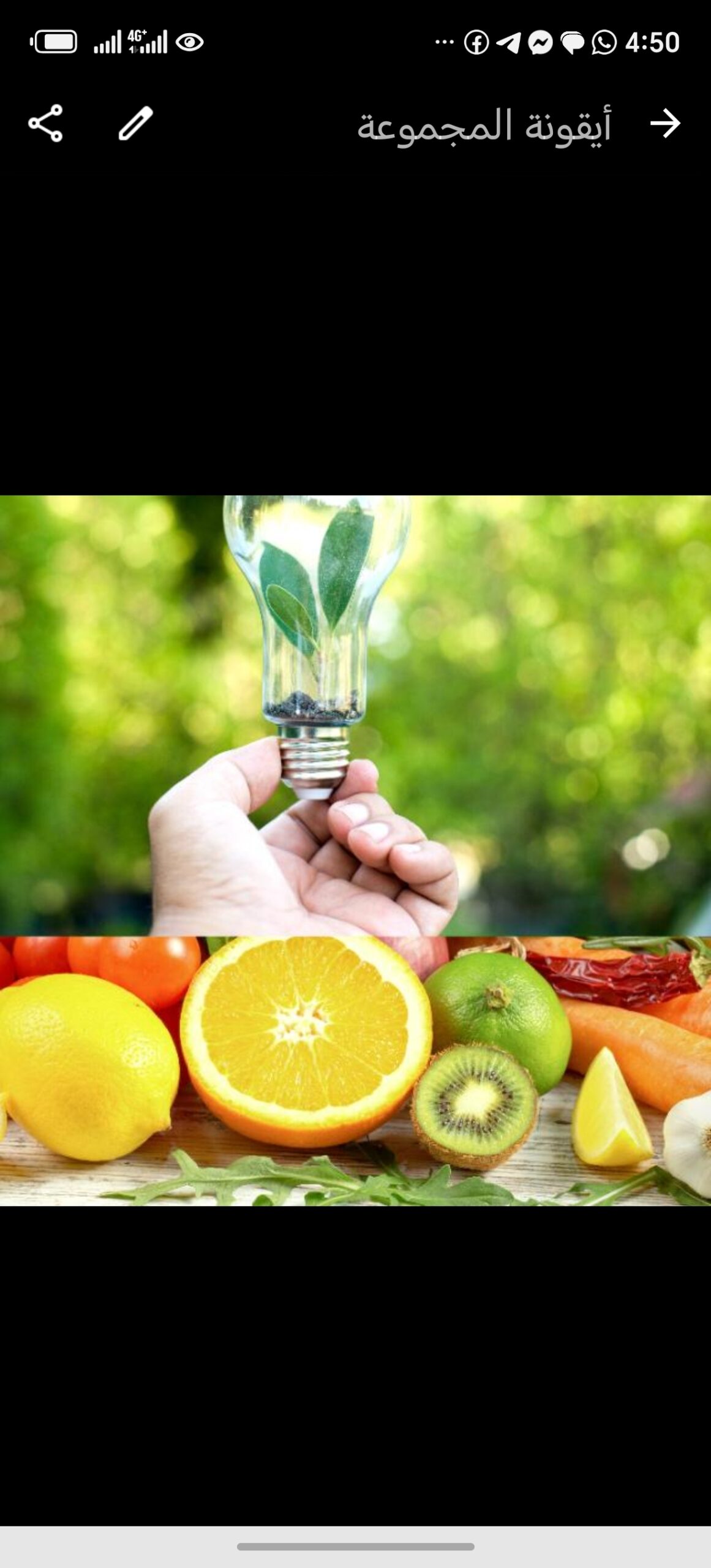 صحتك بيدك وغذاؤك سر قوتك