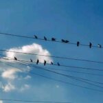 إقتباسات 3
