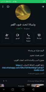 السودان 12