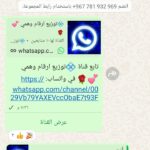 معتصم 1