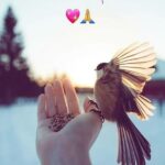 رغى للصبح 1
