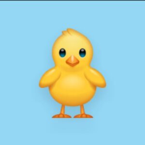 نكت يومية 1