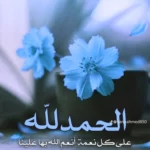 متجر الطاهر 1