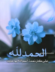 متجر الطاهر 1