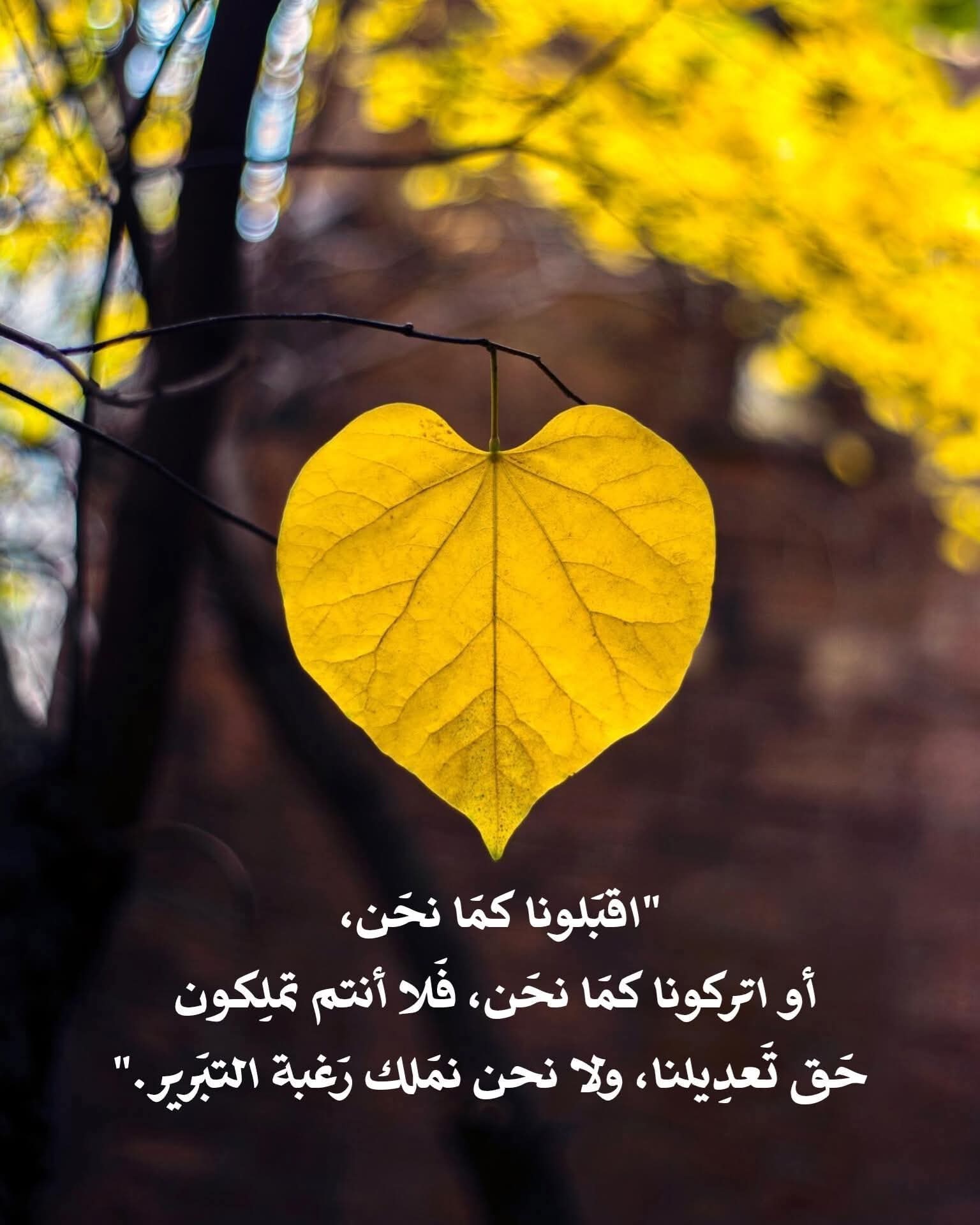شباب المستقبل 2