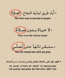 قناة واتس لنشر المعلومات النافعة 1