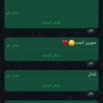 الامارات 2