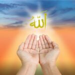 الطريق للتعافي الجماعي 2