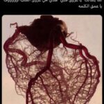 عبارات و اقتباسات 1