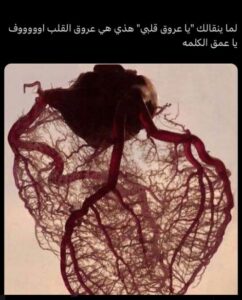 عبارات و اقتباسات 1