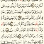 قاعده رايقه 1