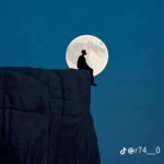 مملكه الهدوء 29