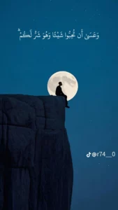 مملكه الهدوء 29