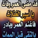قناة واتساب فوائد وفرائد 1