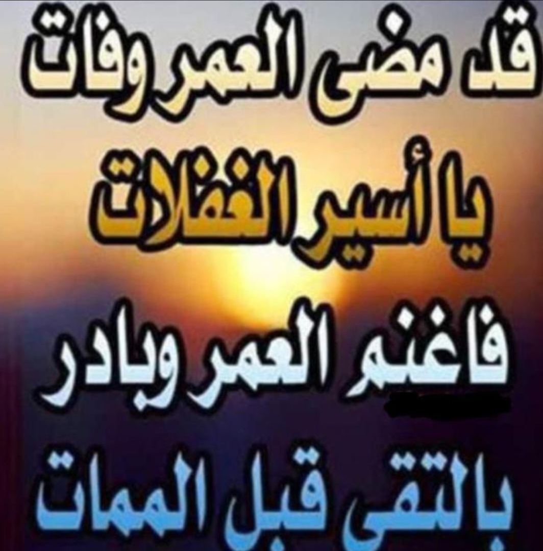 قناة واتساب فوائد وفرائد 1
