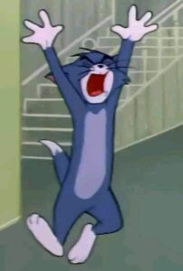 Abo qir cold 1