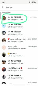 عبد الباسط الخولي 1