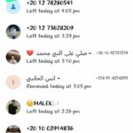 عبد الباسط الخولي 1