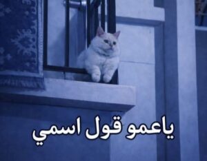 انا مصري 1