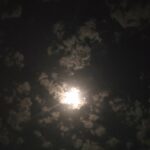 رغي يحب 3