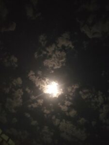 رغي يحب 3