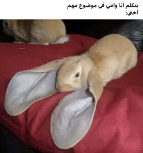 رغي الصحاب 2