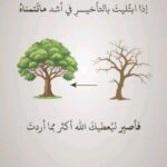 تداول عملات 1