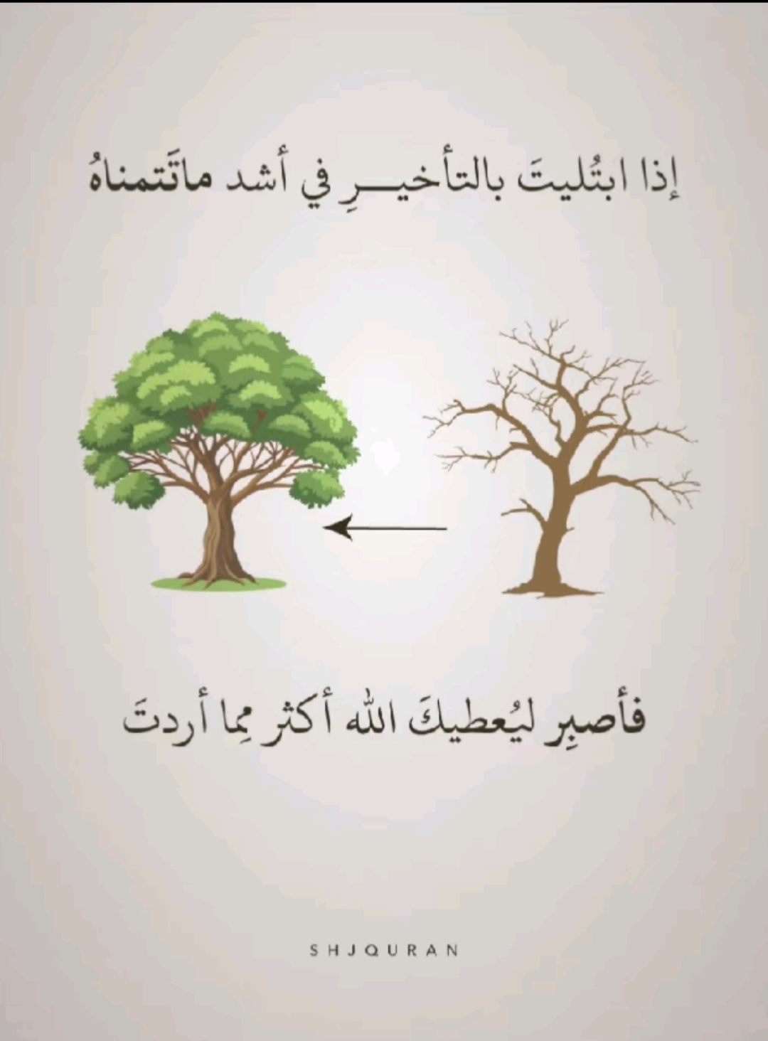 تداول عملات 1