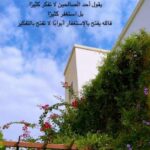 الجنه نسعى 2