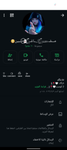 مشاغبين 1