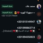ملوي شارع العرفاني 1