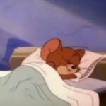هدوء اليل 15