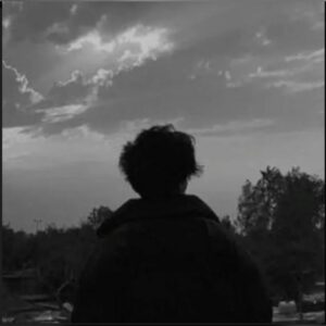 تعارف  14