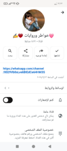 قناه عامه 2