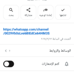 قناه عامه 2
