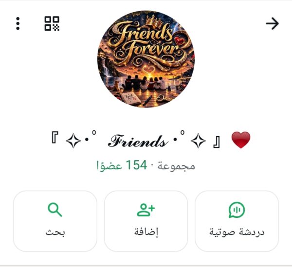 مصر الجديده 2