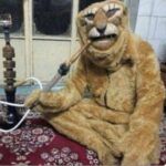 بقلبك يا عمري 2
