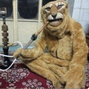 بقلبك يا عمري 2