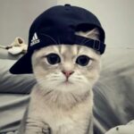 وحيد حزين تعالي اضحكك 1