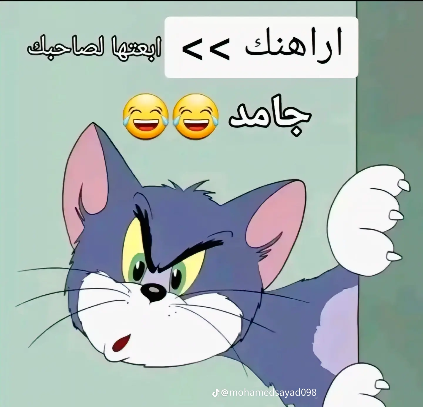 شات المساطيل 1
