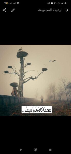 خواطر راقية 1
