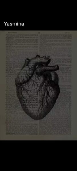 تعارف اصدقاء 2