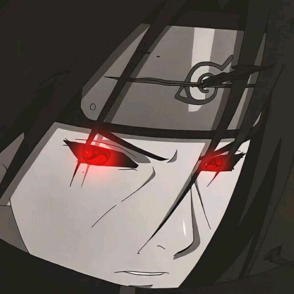 جروب انمي 14