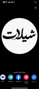 عالم الشيلات VIP 2